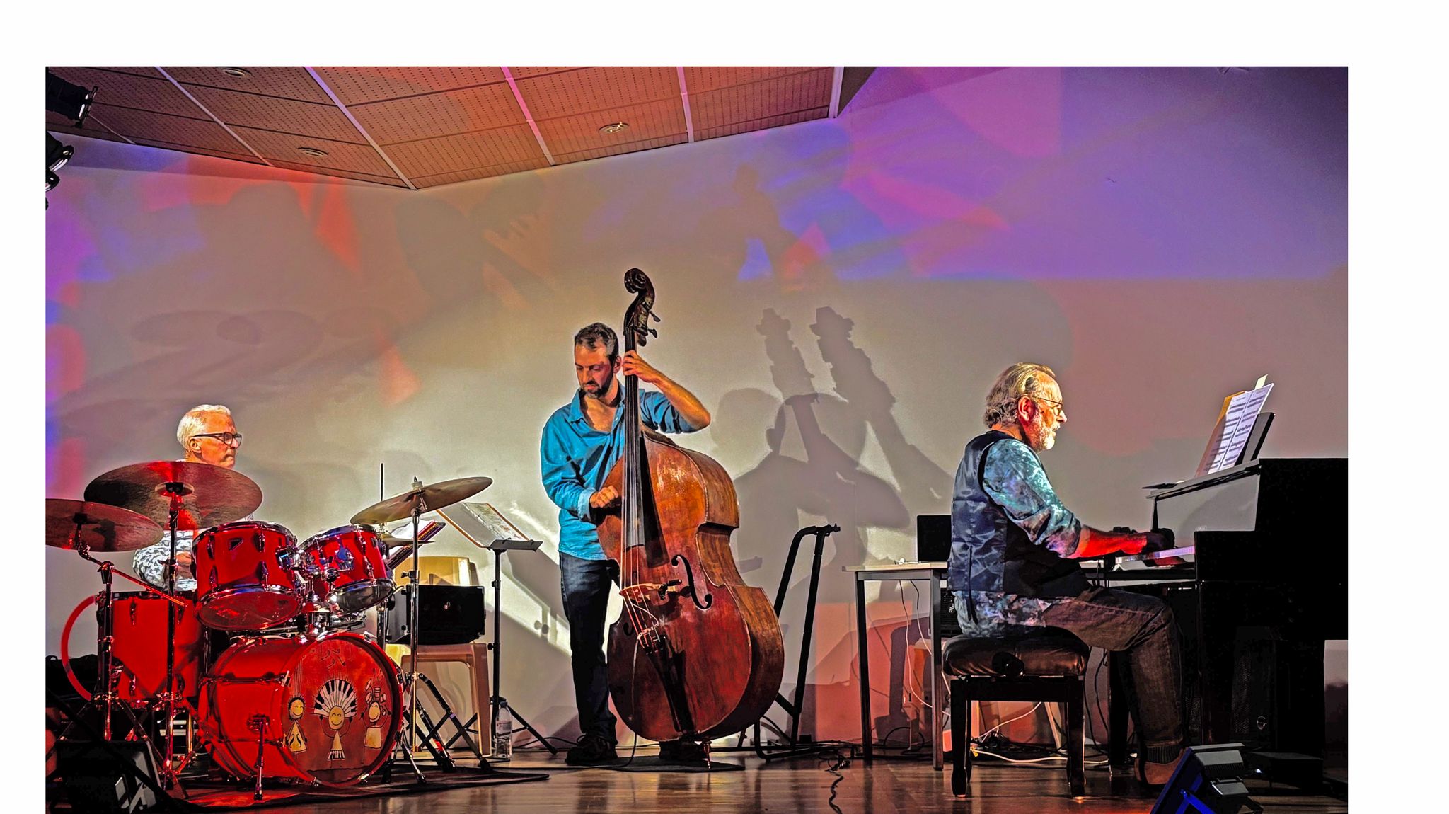 Antoine Hervé Trio — live jazz performance